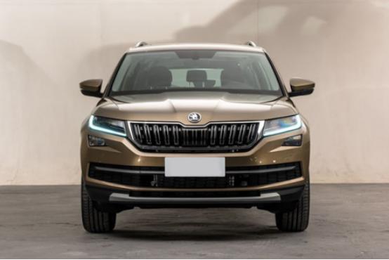 柯迪亞克價格最新消息,小巷探索中的意外驚喜