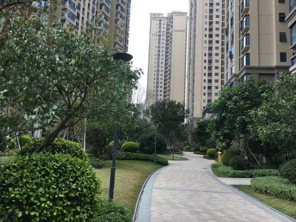 中駿南灣悅庭最新動態(tài),揭秘最新消息????