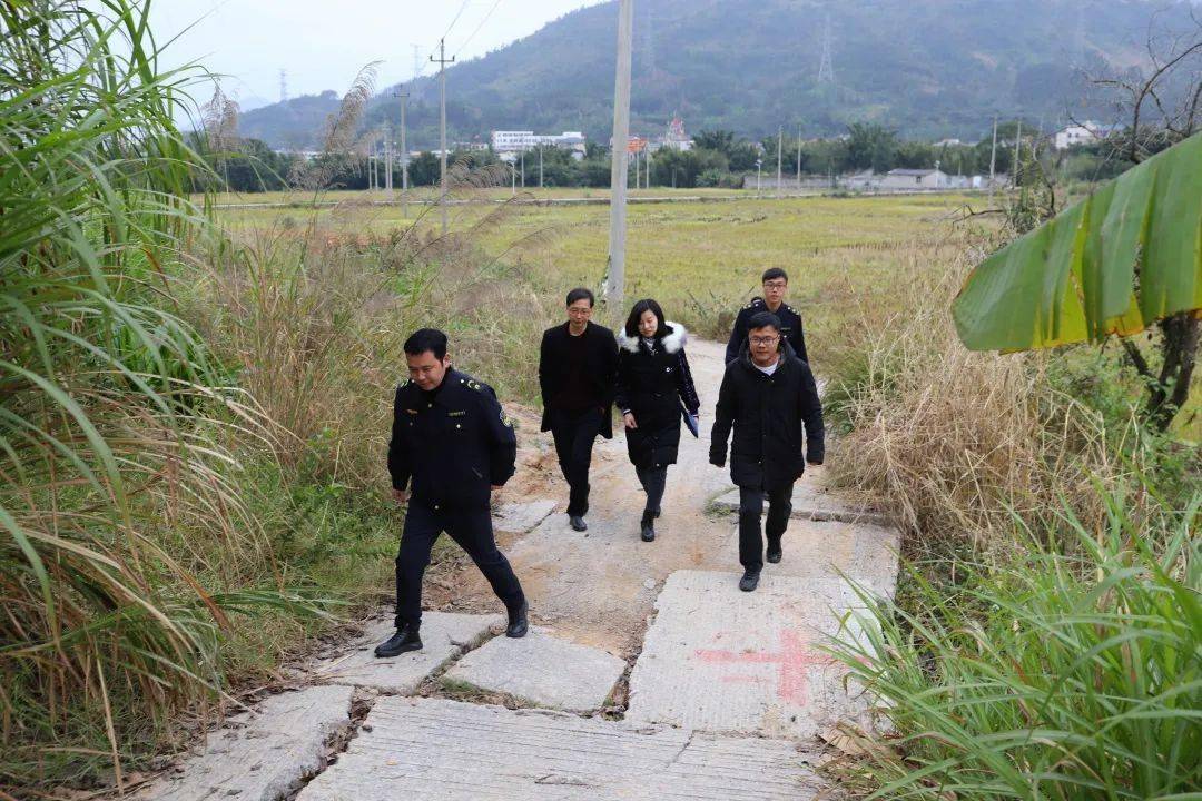 連江縣蓼沿鄉最新動態,友情的溫暖與家的喜悅的美好日常