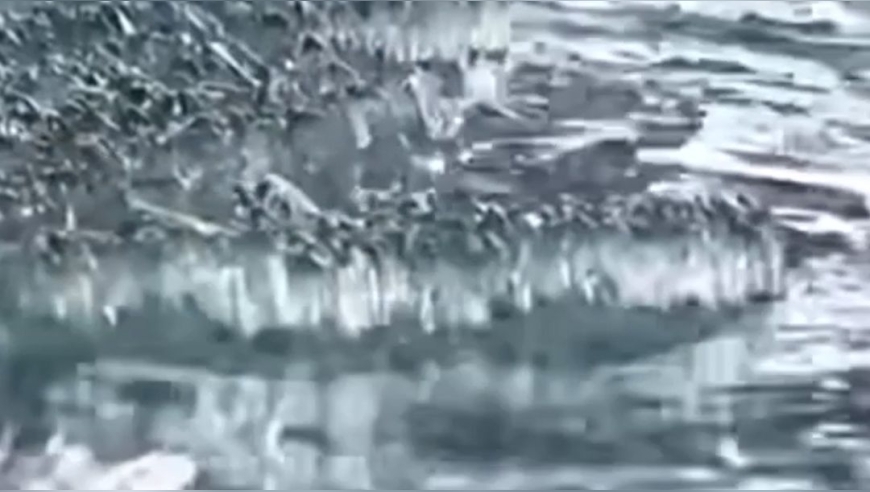 2024年香港開獎結果,決策信息解釋_云端共享版29.955