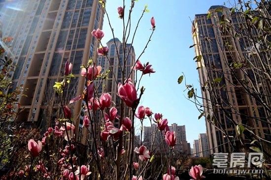 亳州萬物春最新動態,活力與自信的蛻變