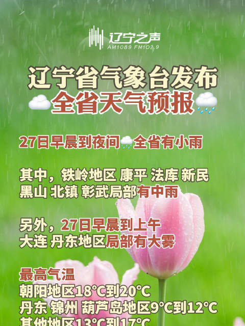 遼寧省最新氣象更新,風(fēng)云變幻盡收眼底