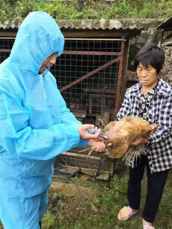 湖北防汛最新動態,科技引領新紀元,智能防汛之旅啟程