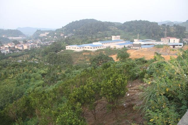 吉首乾州樓盤最新售價(jià),城市變遷中的居住選擇,成長(zhǎng)與你的理想家園