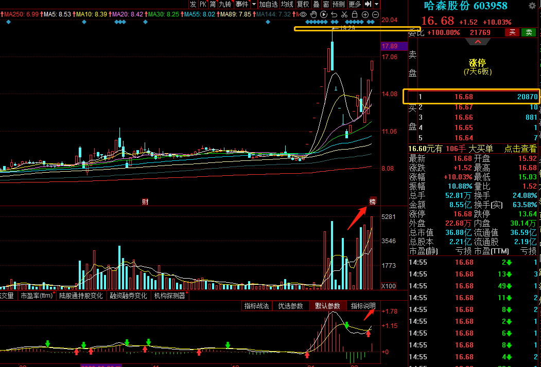 哈森股份股票投資潛力與前景展望分析