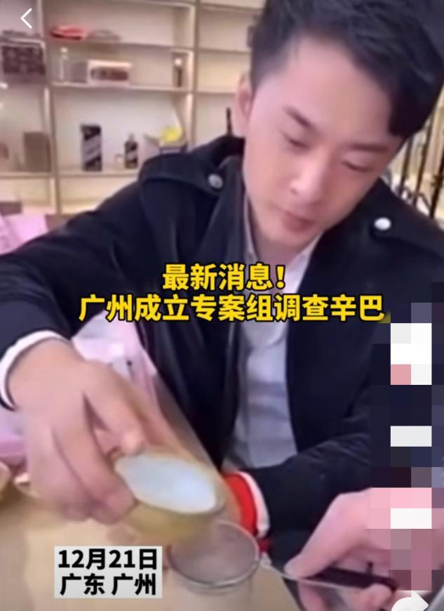 辛巴最新動態(tài),擁抱自然,開啟內(nèi)心寧靜之旅