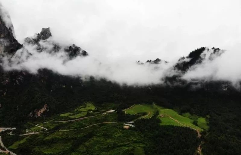 迭部縣資訊速遞,全面觀點闡述與綜合分析