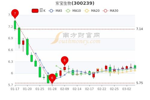 東寶上市,學習、變革與自信的綻放舞臺
