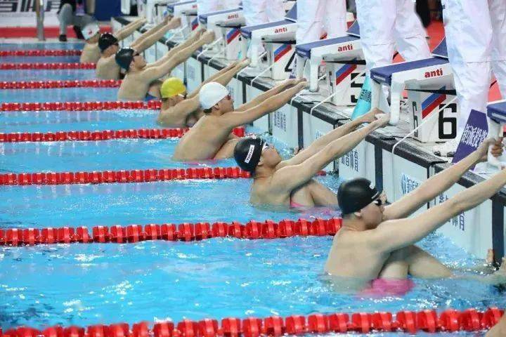 如何參與游泳比賽,途徑、策略與觀點解析