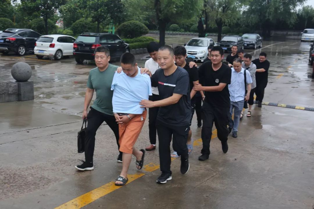 莒南最新案件,法律視角的深入分析與探討