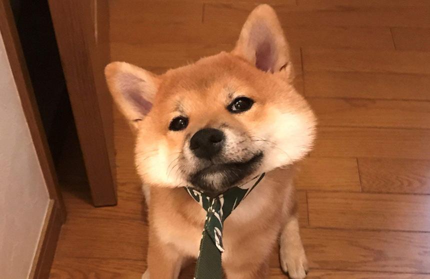 俄羅斯男明星,星光璀璨的時代巨匠