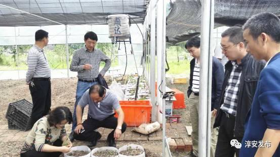 廣印堂最新,自然美景的治愈之旅探索之旅